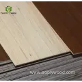 1.5mm Furniture Grade Melamine Faced Plywood